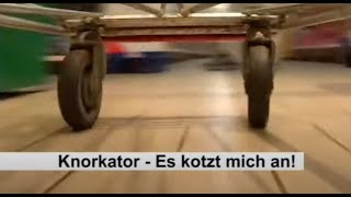 Es Kotzt Mich An Lyrics English Translation