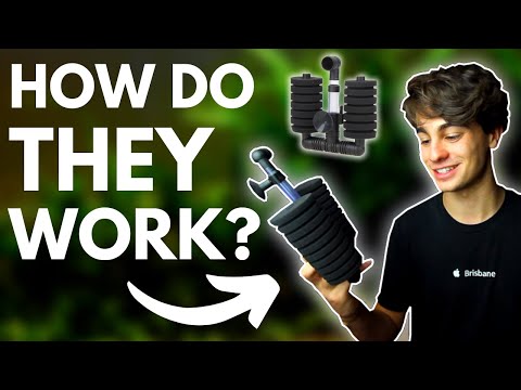 How Do Sponge Filters Work?