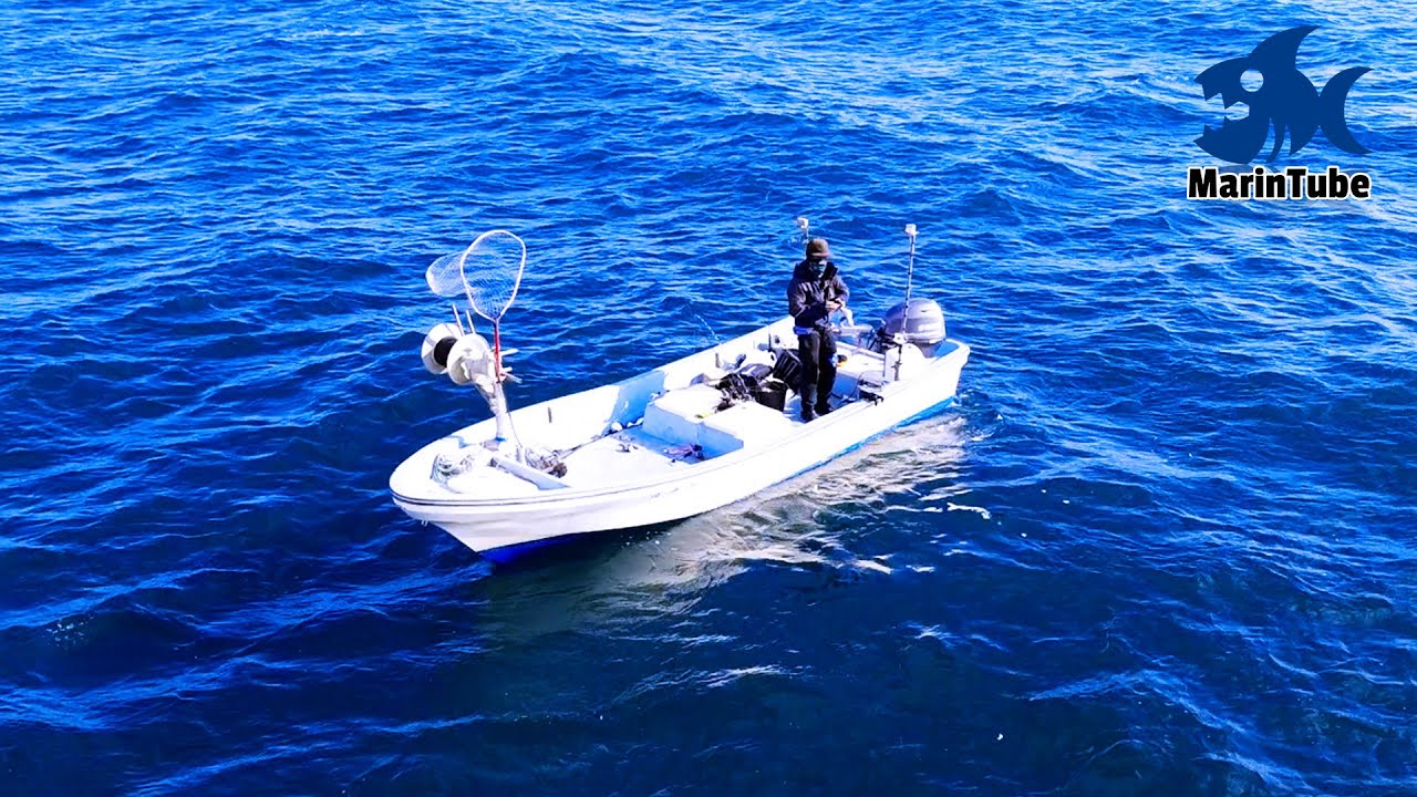 1年間同じ場所にカメラを落として海中を撮影し続けた男の記録