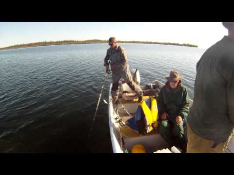 Headbanging pike.mp4