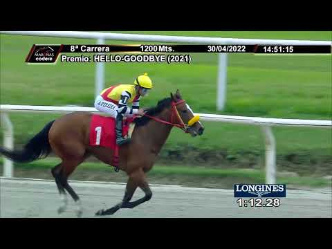 220430 c08 QUATRO TWENTY