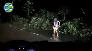 Download lagu Jalanan Berhantu!! 35 Rekaman Dashcam Paling Menyeramkan Dan Gak Masuk Akal Yang Terekam Kamera mp3