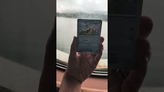 Got an EX at the end. #pokemom #cruise