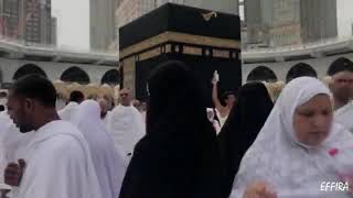 Download lagu Sholawat Hasbi Rabbi mp3 Download lagu Sholawat Hasbi Rabbi mp3