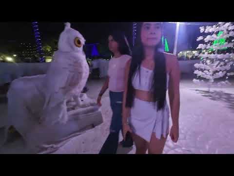 CASTILLA LA NUEVA ¿EL MEJOR ALUMBRADO NAVIDEÑO DEL META?