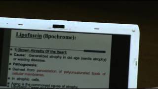 Dr Sahar - Intracellular Accumulations 2 - Endogenous Pigments