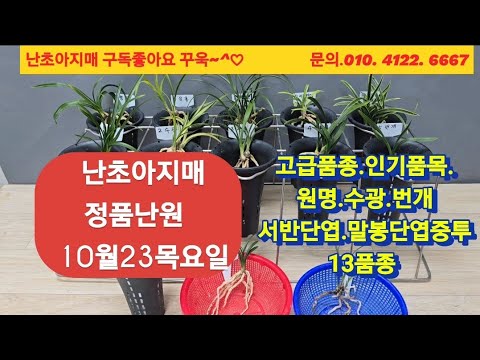 유튜브 썸네일