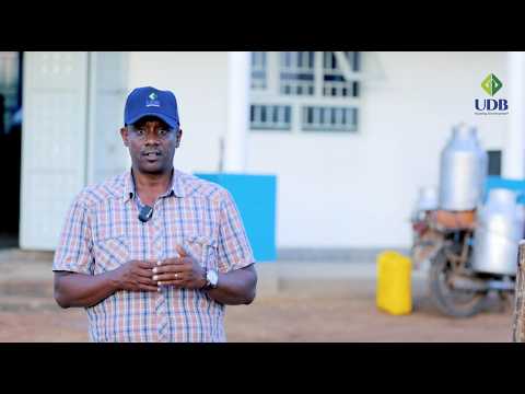 Celebrating Partners in Development | Nyakahita Dairy