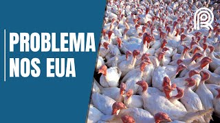 Miniatura do vídeo