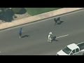 Lasso that llama! - YouTube