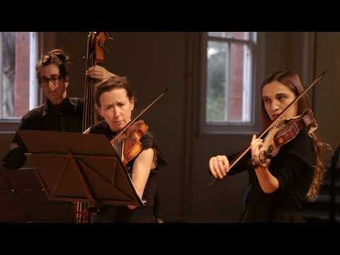 Georg Muffat - Sonata II in G Minor, Grave & Allegro