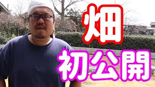 畑紹介　家庭菜園するには広すぎる我が家の庭を初公開