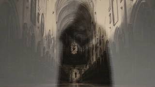 Music Video: Droid Sector Decay - Necromancer And The Deceased (Lyric Video)