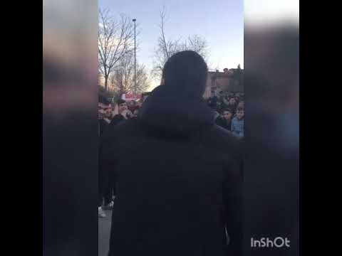 Tuero vs Blapin vs ??