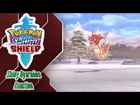 Shiny Gyarados! Pokemon Sword & Shield!