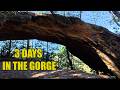 3 Day Backpacking Trip In Red River Gorge KY
