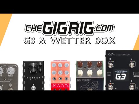GigRig Wetter Box 2019 - Present Black image 6