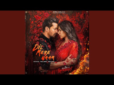 Dil Mere Naam — watch video