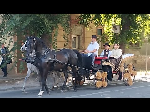 Dužijanca u Subotici 🌾 10.08.2025.