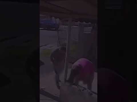 Em Ibaiti, Interior do Paraná, uma mulher deu à luz na garagem de casa.
