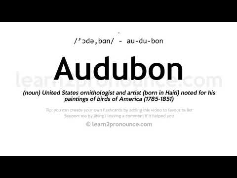 Pronunciation of Audubon | Definition of Audubon