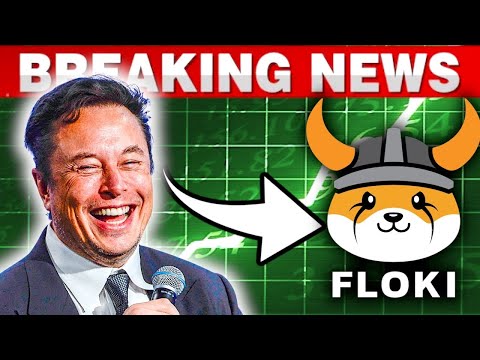 Elon Musk Just Sent Floki Soaring!