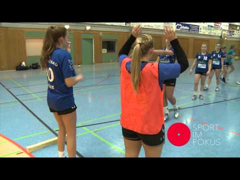 Sport im Fokus: Training exekutiver Funktionen und der Selbstregulation im Handball