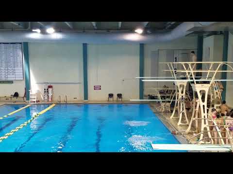 2017 UNCW Men's 3m - Dive 3 301C