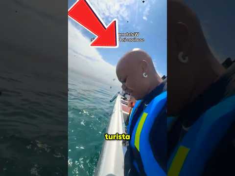 Ela quis TESTAR esses LEÕES-MARINHOS #curiosidades #animais