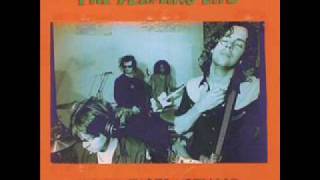 The Flaming Lips Bad Days
