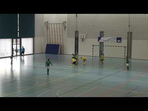 HF Euro Cup BSC Old Boys Basel FE13 - Schiltigheim 03.02.2019