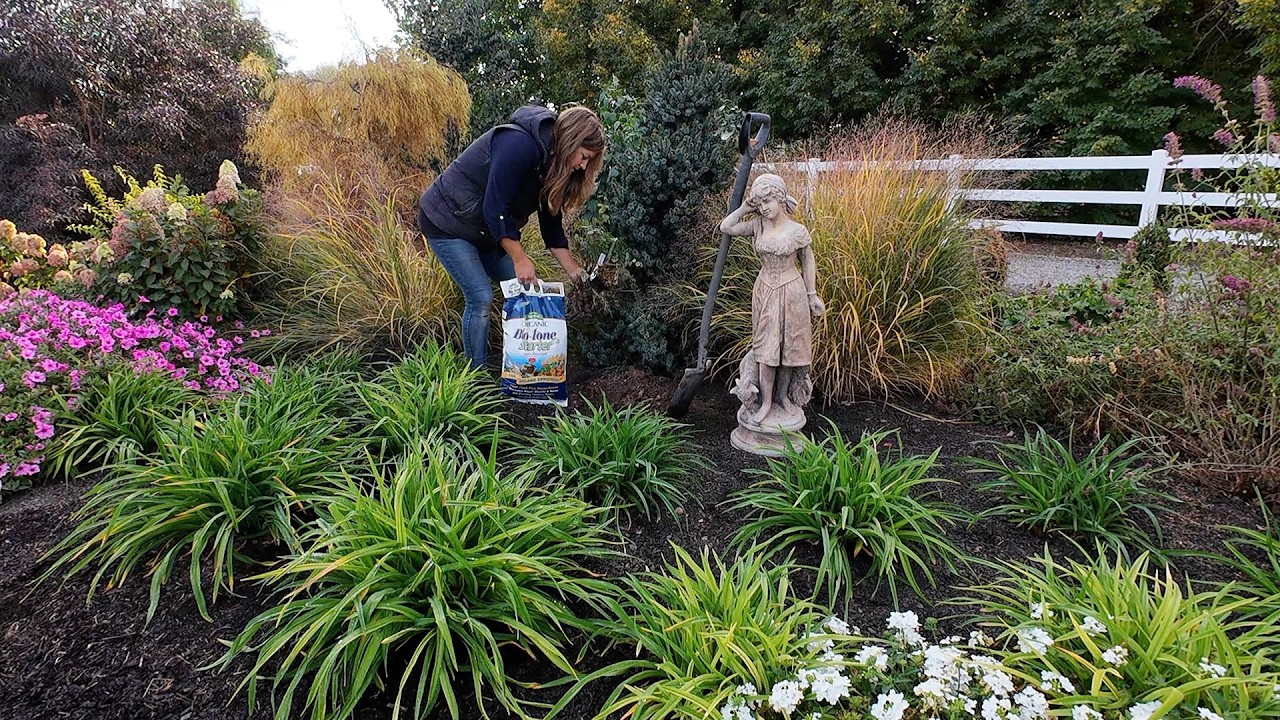 Transplanting Roses & Rhubarb + Bringing in the Tropical Water Lilies! 🌹🌿🪷 // Garden Answer