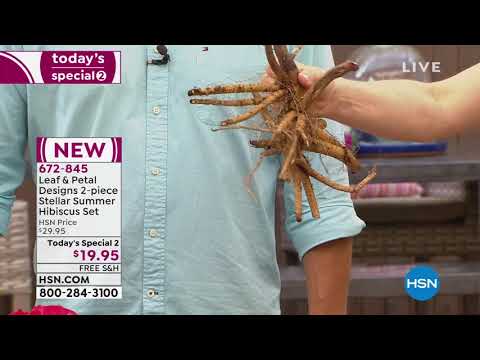HSN | Gardening with Guy Yovan 05.11.2019 - 08 AM