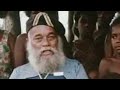 Why Did The Phoenix Foundation Support Jimmy Stevens During The Vanuatun Independence Period