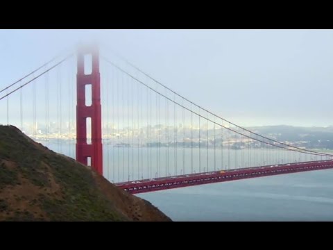 Robert Mac, "The Dog & Pony Show"