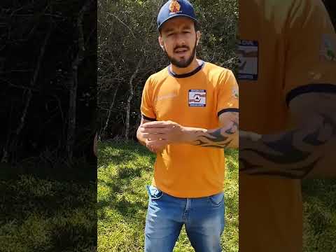 chegou o momento de voltar para a natureza 🌱🦜