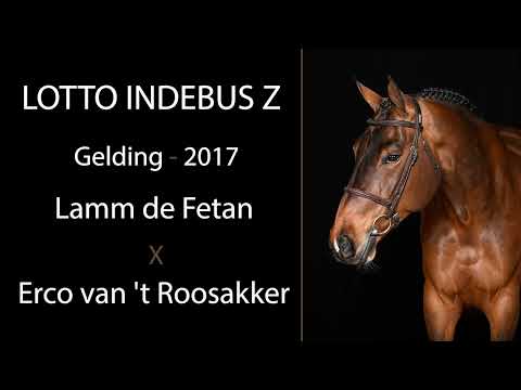 Lotto Indebus Z video