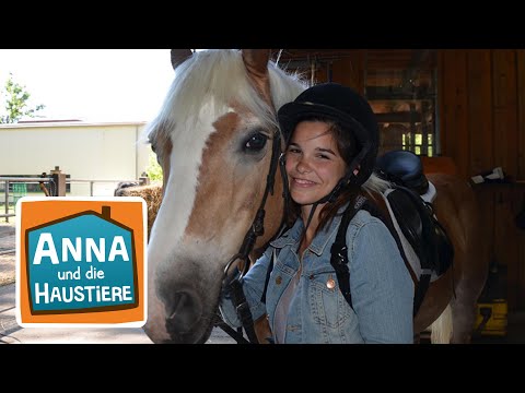 Pferd | Information für Kinder | Anna und die Haustiere