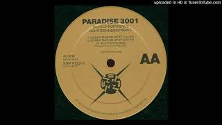 Paradise 3001 - Gonna Take Me Up (Pt 2)