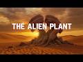 The 2,000-Year-Old Plant: Welwitschia mirabilis, The Immortal Weirdo of the Namib Desert