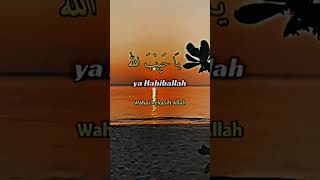Download lagu Ya Habibal Qolbi ll SantriNjoso mp3 Download lagu Ya Habibal Qolbi ll SantriNjoso mp3
