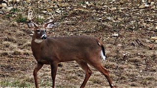 DEER HUNTING RIFLE SEASON PENNSYLVANIA - Extra Footage + BIG BUCK TRAIL CAM PHOTOS - John & Andrew