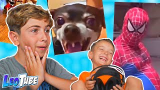 Download lagu Leo y Bruno Reaccionando a Videos mp3