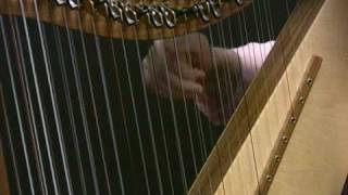 Double Plucked Harmonic Demonstration