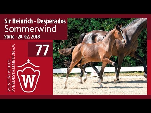 077 Feuerherz SF v.  Sir Heinrich - Desperados