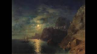 medhel an gwyns - anne dudley // cover by nesliwie