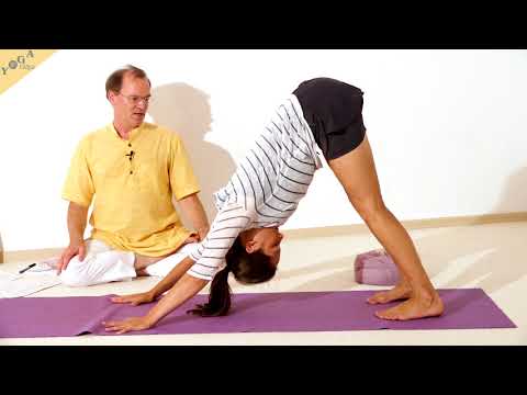 Yoga Hund - Yoga Asana Lexikon