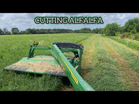 Cutting Alfalfa and Baling Wheat
