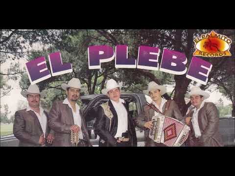 El Plebe de Sinaloa - Mil kilos de Polvo