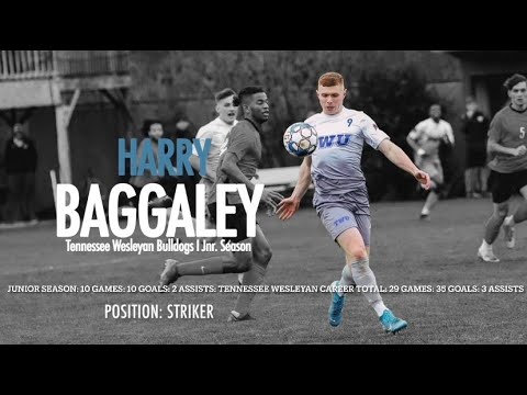 Harry Baggaley - Junior Season Highlights (2020-2021)  - Tennessee Wesleyan Men's Soccer.